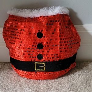 Santa Costume for Small Dogs